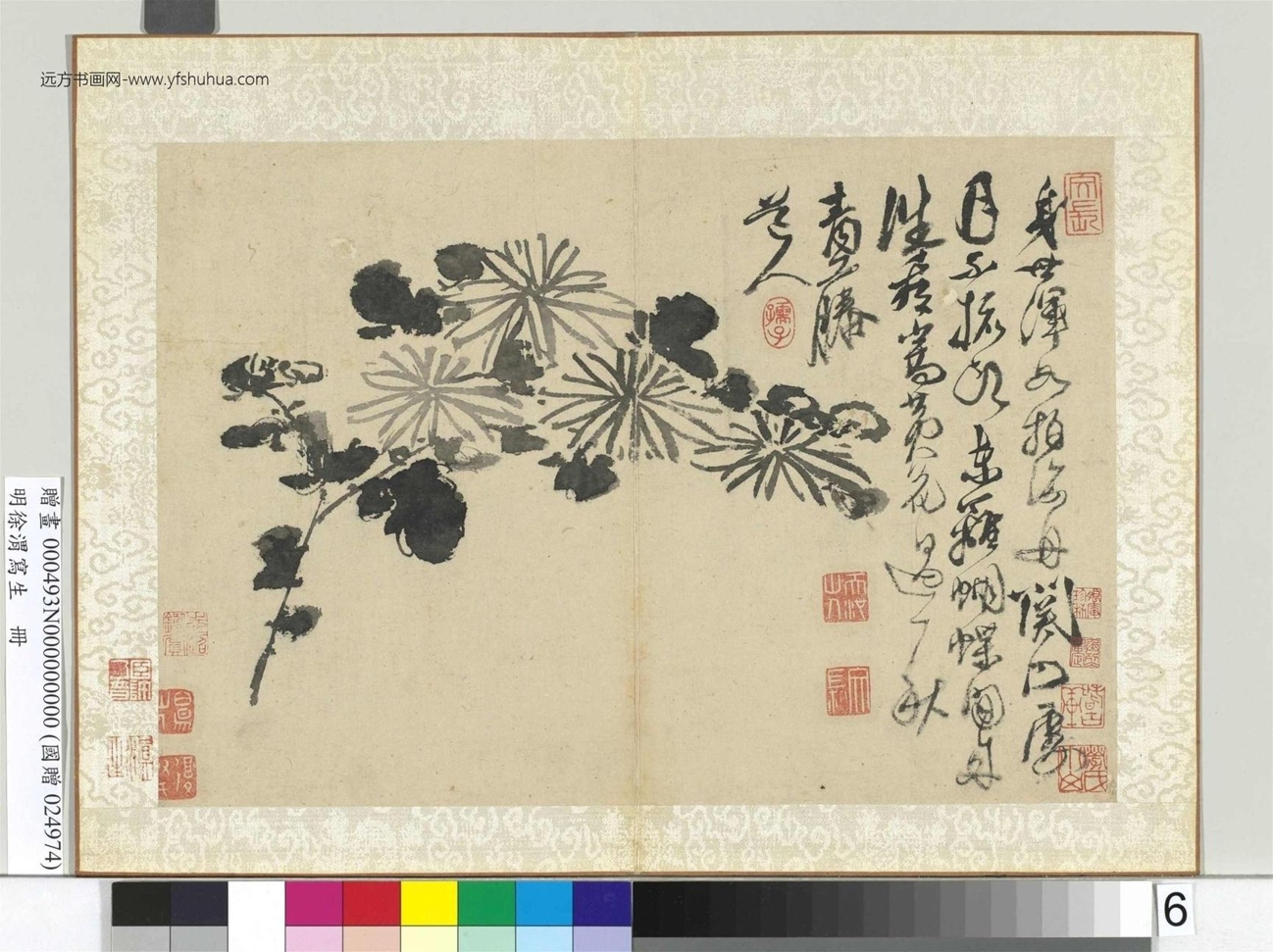 明_徐渭_写生册　_10